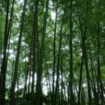 【孫子】2500年前から変わらない「人間攻略」｜負けないための戦略と組織の力学