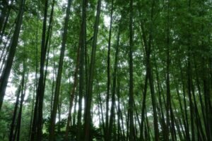 【孫子】2500年前から変わらない「人間攻略」｜負けないための戦略と組織の力学